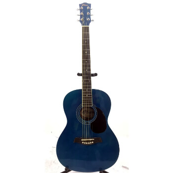 B-GRADE Tiger Acoustic Guitar for Beginners - Blue